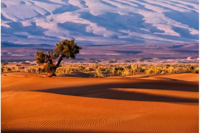 A Green Sahara!  Unravelling the mystery revealing an important lesson on tipping points