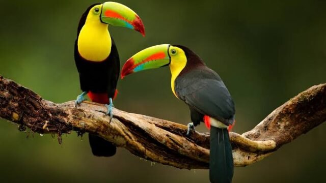 images (22)